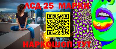 скорость Будённовск