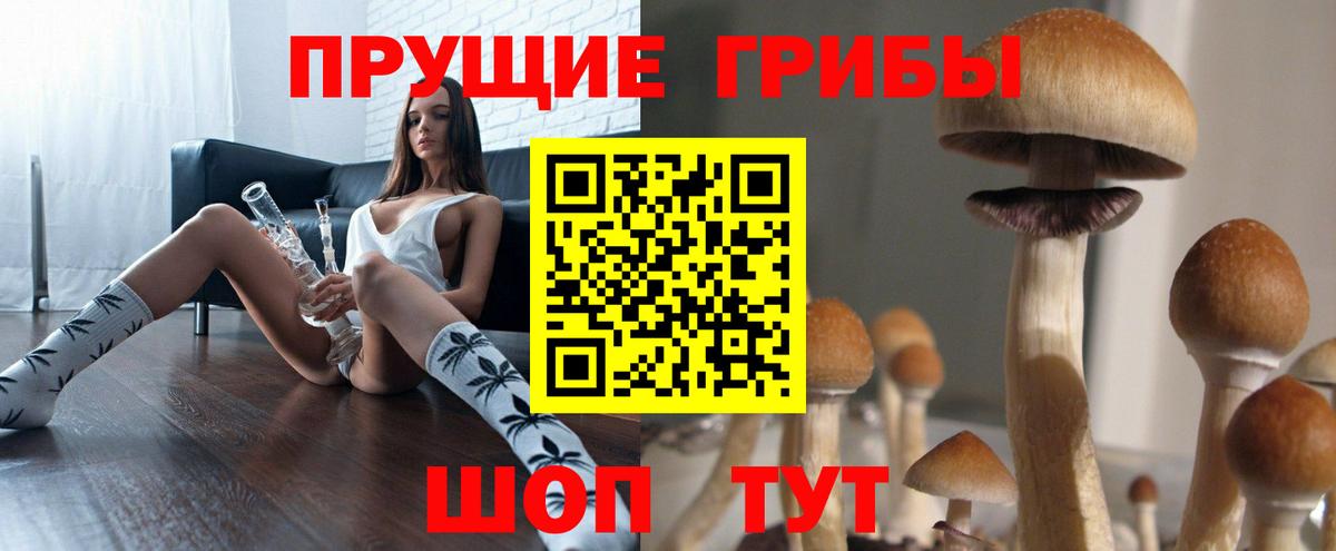 Отрадное  Галлюциногенные грибы GOLDEN TEACHER  Вход с VPN 